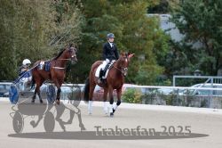 Dateiname=20251012_r08b_001_R08_0010.jpg
Dateigröße=289KB
Abmessungen: 1000x667
hinzugefügt am: 14. Oktober 2025 20251012_r08b_001_R08_0010.jpg