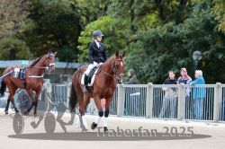 Dateiname=20251012_r08b_005_R08_0023.jpg
Dateigröße=303KB
Abmessungen: 1000x667
hinzugefügt am: 14. Oktober 2025 20251012_r08b_005_R08_0023.jpg