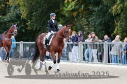 Dateiname=20251012_r08b_013_R08_0047.jpg
Dateigröße=322KB
Abmessungen: 1000x667
hinzugefügt am: 14. Oktober 2025 20251012_r08b_013_R08_0047.jpg