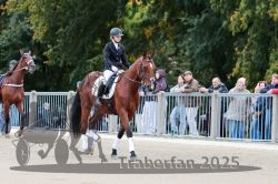 Dateiname=20251012_r08b_014_R08_0051.jpg
Dateigröße=317KB
Abmessungen: 1000x667
hinzugefügt am: 14. Oktober 2025 20251012_r08b_014_R08_0051.jpg