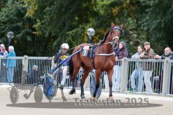 Dateiname=20251012_r08b_018_R08_0072.jpg
Dateigröße=316KB
Abmessungen: 1000x667
hinzugefügt am: 14. Oktober 2025 20251012_r08b_018_R08_0072.jpg