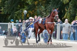 Dateiname=20251012_r08b_020_R08_0080.jpg
Dateigröße=328KB
Abmessungen: 1000x667
hinzugefügt am: 14. Oktober 2025 20251012_r08b_020_R08_0080.jpg