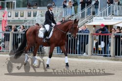 Dateiname=20251012_r08b_022_R08_0089.jpg
Dateigröße=333KB
Abmessungen: 1000x667
hinzugefügt am: 14. Oktober 2025 20251012_r08b_022_R08_0089.jpg