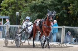 Dateiname=20251012_r08b_036_R08_0138.jpg
Dateigröße=290KB
Abmessungen: 1000x667
hinzugefügt am: 14. Oktober 2025 20251012_r08b_036_R08_0138.jpg