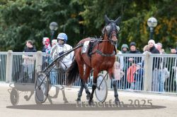 Dateiname=20251012_r08b_037_R08_0142.jpg
Dateigröße=304KB
Abmessungen: 1000x667
hinzugefügt am: 14. Oktober 2025 20251012_r08b_037_R08_0142.jpg