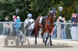 Dateiname=20251012_r08b_038_R08_0146.jpg
Dateigröße=306KB
Abmessungen: 1000x667
hinzugefügt am: 14. Oktober 2025 20251012_r08b_038_R08_0146.jpg