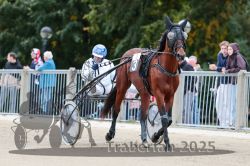 Dateiname=20251012_r08b_039_R08_0148.jpg
Dateigröße=300KB
Abmessungen: 1000x667
hinzugefügt am: 14. Oktober 2025 20251012_r08b_039_R08_0148.jpg