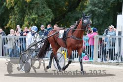 Dateiname=20251012_r08b_043_R08_0162.jpg
Dateigröße=326KB
Abmessungen: 1000x667
hinzugefügt am: 14. Oktober 2025 20251012_r08b_043_R08_0162.jpg