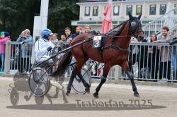 Dateiname=20251012_r08b_044_R08_0167.jpg
Dateigröße=319KB
Abmessungen: 1000x667
hinzugefügt am: 14. Oktober 2025 20251012_r08b_044_R08_0167.jpg