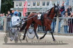 Dateiname=20251012_r08b_046_R08_0172.jpg
Dateigröße=320KB
Abmessungen: 1000x667
hinzugefügt am: 14. Oktober 2025 20251012_r08b_046_R08_0172.jpg