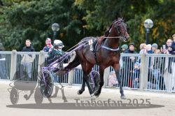 Dateiname=20251012_r08b_047_R08_0176.jpg
Dateigröße=305KB
Abmessungen: 1000x667
hinzugefügt am: 14. Oktober 2025 20251012_r08b_047_R08_0176.jpg