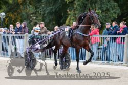 Dateiname=20251012_r08b_049_R08_0185.jpg
Dateigröße=320KB
Abmessungen: 1000x667
hinzugefügt am: 14. Oktober 2025 20251012_r08b_049_R08_0185.jpg