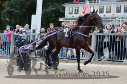 Dateiname=20251012_r08b_052_R08_0195.jpg
Dateigröße=320KB
Abmessungen: 1000x667
hinzugefügt am: 14. Oktober 2025 20251012_r08b_052_R08_0195.jpg