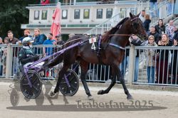 Dateiname=20251012_r08b_054_R08_0202.jpg
Dateigröße=338KB
Abmessungen: 1000x667
hinzugefügt am: 14. Oktober 2025 20251012_r08b_054_R08_0202.jpg