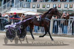 Dateiname=20251012_r08b_055_R08_0205.jpg
Dateigröße=320KB
Abmessungen: 1000x667
hinzugefügt am: 14. Oktober 2025 20251012_r08b_055_R08_0205.jpg