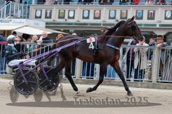 Dateiname=20251012_r08b_056_R08_0209.jpg
Dateigröße=336KB
Abmessungen: 1000x667
hinzugefügt am: 14. Oktober 2025 20251012_r08b_056_R08_0209.jpg