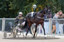 Dateiname=20251012_r08b_059_R08_0222.jpg
Dateigröße=299KB
Abmessungen: 1000x667
hinzugefügt am: 14. Oktober 2025 20251012_r08b_059_R08_0222.jpg