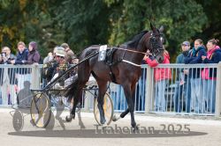 Dateiname=20251012_r08b_060_R08_0224.jpg
Dateigröße=315KB
Abmessungen: 1000x667
hinzugefügt am: 14. Oktober 2025 20251012_r08b_060_R08_0224.jpg