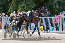 Dateiname=20251012_r08b_062_R08_0232.jpg
Dateigröße=317KB
Abmessungen: 1000x667
hinzugefügt am: 14. Oktober 2025 20251012_r08b_062_R08_0232.jpg