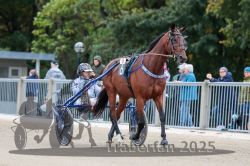 Dateiname=20251012_r08b_067_R08_0254.jpg
Dateigröße=299KB
Abmessungen: 1000x667
hinzugefügt am: 14. Oktober 2025 20251012_r08b_067_R08_0254.jpg