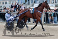 Dateiname=20251012_r08b_074_R08_0282.jpg
Dateigröße=336KB
Abmessungen: 1000x667
hinzugefügt am: 14. Oktober 2025 20251012_r08b_074_R08_0282.jpg