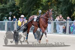 Dateiname=20251012_r08b_079_R08_0300.jpg
Dateigröße=300KB
Abmessungen: 1000x667
hinzugefügt am: 14. Oktober 2025 20251012_r08b_079_R08_0300.jpg