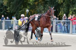 Dateiname=20251012_r08b_080_R08_0305.jpg
Dateigröße=309KB
Abmessungen: 1000x667
hinzugefügt am: 14. Oktober 2025 20251012_r08b_080_R08_0305.jpg