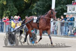 Dateiname=20251012_r08b_082_R08_0312.jpg
Dateigröße=323KB
Abmessungen: 1000x667
hinzugefügt am: 14. Oktober 2025 20251012_r08b_082_R08_0312.jpg