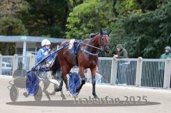 Dateiname=20251012_r08b_086_R08_0328.jpg
Dateigröße=290KB
Abmessungen: 1000x667
hinzugefügt am: 14. Oktober 2025 20251012_r08b_086_R08_0328.jpg