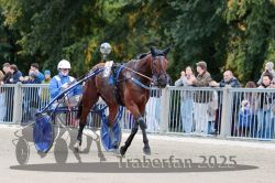 Dateiname=20251012_r08b_089_R08_0339.jpg
Dateigröße=322KB
Abmessungen: 1000x667
hinzugefügt am: 14. Oktober 2025 20251012_r08b_089_R08_0339.jpg