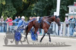 Dateiname=20251012_r08b_093_R08_0354.jpg
Dateigröße=331KB
Abmessungen: 1000x667
hinzugefügt am: 14. Oktober 2025 20251012_r08b_093_R08_0354.jpg