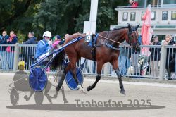 Dateiname=20251012_r08b_094_R08_0359.jpg
Dateigröße=325KB
Abmessungen: 1000x667
hinzugefügt am: 14. Oktober 2025 20251012_r08b_094_R08_0359.jpg