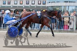 Dateiname=20251012_r08b_095_R08_0362.jpg
Dateigröße=329KB
Abmessungen: 1000x667
hinzugefügt am: 14. Oktober 2025 20251012_r08b_095_R08_0362.jpg