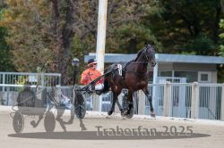 Dateiname=20251012_r08b_097_R08_0372.jpg
Dateigröße=281KB
Abmessungen: 1000x667
hinzugefügt am: 14. Oktober 2025 20251012_r08b_097_R08_0372.jpg