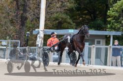 Dateiname=20251012_r08b_098_R08_0376.jpg
Dateigröße=291KB
Abmessungen: 1000x667
hinzugefügt am: 14. Oktober 2025 20251012_r08b_098_R08_0376.jpg