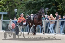 Dateiname=20251012_r08b_099_R08_0380.jpg
Dateigröße=301KB
Abmessungen: 1000x667
hinzugefügt am: 14. Oktober 2025 20251012_r08b_099_R08_0380.jpg