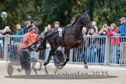 Dateiname=20251012_r08b_101_R08_0388.jpg
Dateigröße=320KB
Abmessungen: 1000x667
hinzugefügt am: 14. Oktober 2025 20251012_r08b_101_R08_0388.jpg