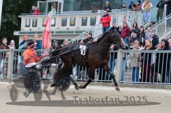 Dateiname=20251012_r08b_104_R08_0400.jpg
Dateigröße=328KB
Abmessungen: 1000x667
hinzugefügt am: 14. Oktober 2025 20251012_r08b_104_R08_0400.jpg