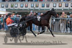 Dateiname=20251012_r08b_107_R08_0412.jpg
Dateigröße=318KB
Abmessungen: 1000x667
hinzugefügt am: 14. Oktober 2025 20251012_r08b_107_R08_0412.jpg