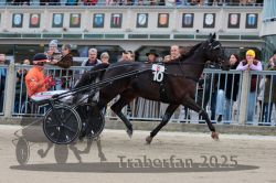 Dateiname=20251012_r08b_108_R08_0415.jpg
Dateigröße=311KB
Abmessungen: 1000x667
hinzugefügt am: 14. Oktober 2025 20251012_r08b_108_R08_0415.jpg