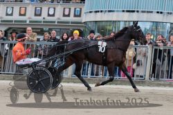 Dateiname=20251012_r08b_109_R08_0420.jpg
Dateigröße=308KB
Abmessungen: 1000x667
hinzugefügt am: 14. Oktober 2025 20251012_r08b_109_R08_0420.jpg