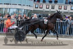 Dateiname=20251012_r08b_110_R08_0427.jpg
Dateigröße=313KB
Abmessungen: 1000x667
hinzugefügt am: 14. Oktober 2025 20251012_r08b_110_R08_0427.jpg