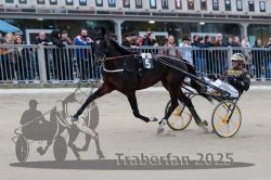 Dateiname=20251012_r08c_009_R08_0450.jpg
Dateigröße=282KB
Abmessungen: 1000x667
hinzugefügt am: 14. Oktober 2025 20251012_r08c_009_R08_0450.jpg