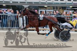 Dateiname=20251012_r08c_029_R08_0510.jpg
Dateigröße=289KB
Abmessungen: 1000x667
hinzugefügt am: 14. Oktober 2025 20251012_r08c_029_R08_0510.jpg