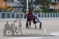 Dateiname=20251012_r08c_030_R08_0515.jpg
Dateigröße=256KB
Abmessungen: 1000x667
hinzugefügt am: 14. Oktober 2025 20251012_r08c_030_R08_0515.jpg