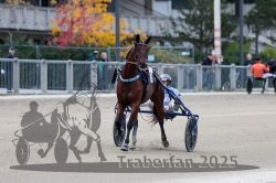 Dateiname=20251012_r08c_031_R08_0520.jpg
Dateigröße=267KB
Abmessungen: 1000x667
hinzugefügt am: 14. Oktober 2025 20251012_r08c_031_R08_0520.jpg