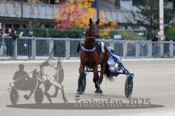 Dateiname=20251012_r08c_032_R08_0524.jpg
Dateigröße=261KB
Abmessungen: 1000x667
hinzugefügt am: 14. Oktober 2025 20251012_r08c_032_R08_0524.jpg