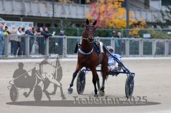 Dateiname=20251012_r08c_034_R08_0531.jpg
Dateigröße=265KB
Abmessungen: 1000x667
hinzugefügt am: 14. Oktober 2025 20251012_r08c_034_R08_0531.jpg