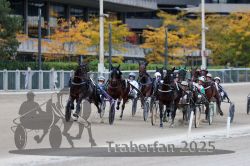 Dateiname=20251012_r08c_037_R08_0541.jpg
Dateigröße=307KB
Abmessungen: 1000x667
hinzugefügt am: 14. Oktober 2025 20251012_r08c_037_R08_0541.jpg