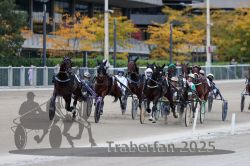 Dateiname=20251012_r08c_038_R08_0544.jpg
Dateigröße=306KB
Abmessungen: 1000x667
hinzugefügt am: 14. Oktober 2025 20251012_r08c_038_R08_0544.jpg